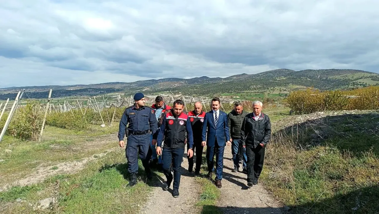 Göynücek'te Zirai Donun Yaraları Sarılıyor 1