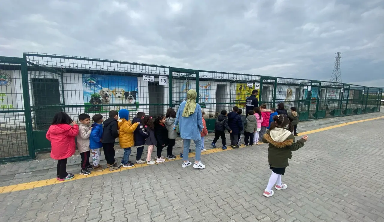 Minik Öğrencilerden Can Dostlara Sevgi Dolu Ziyaret 1