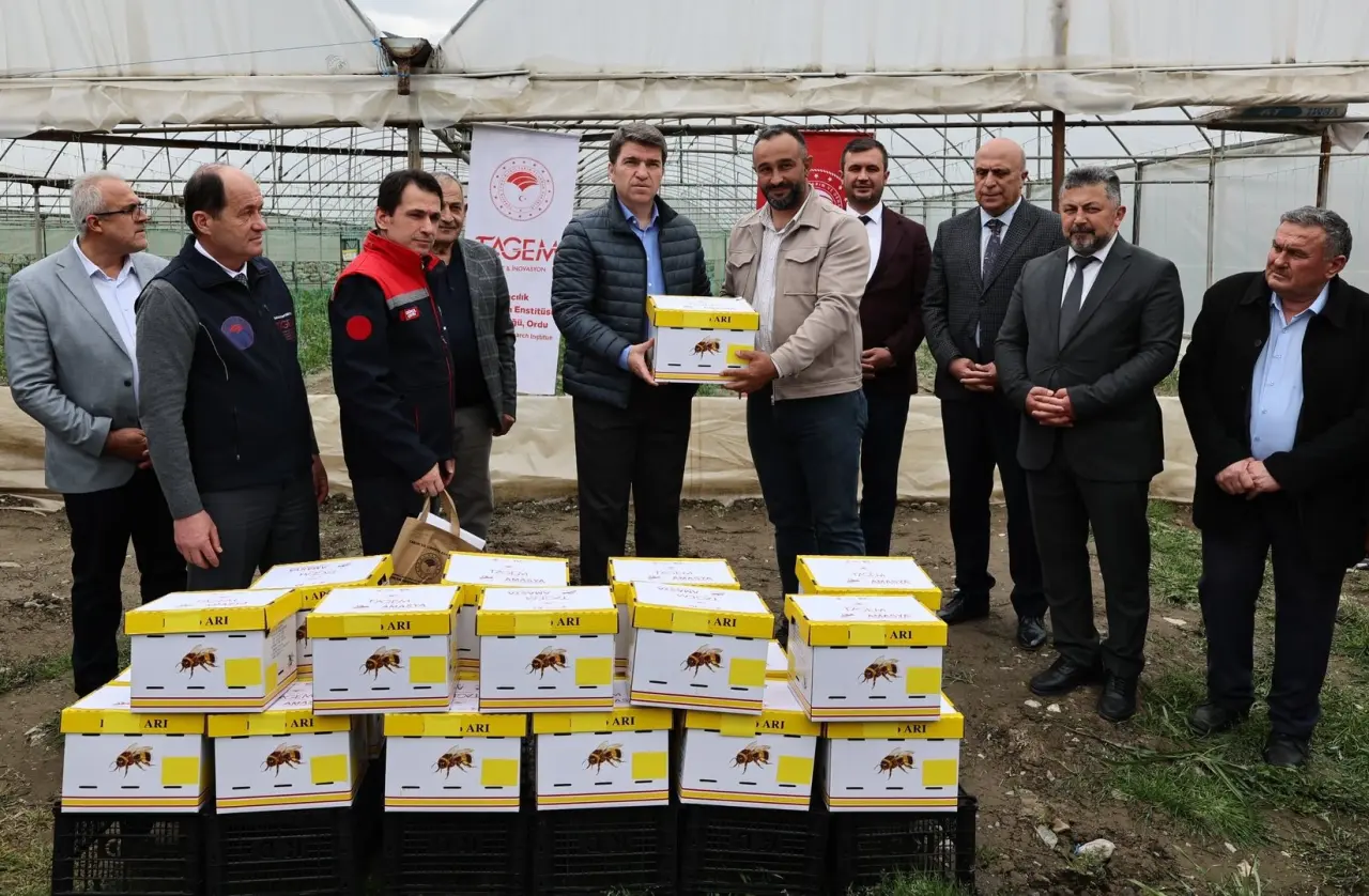 Amasya’da Bombus Arılarıyla Tarımsal Kalite Artıyor: Üreticilere Kovan Teslimi Gerçekleştirildi 3