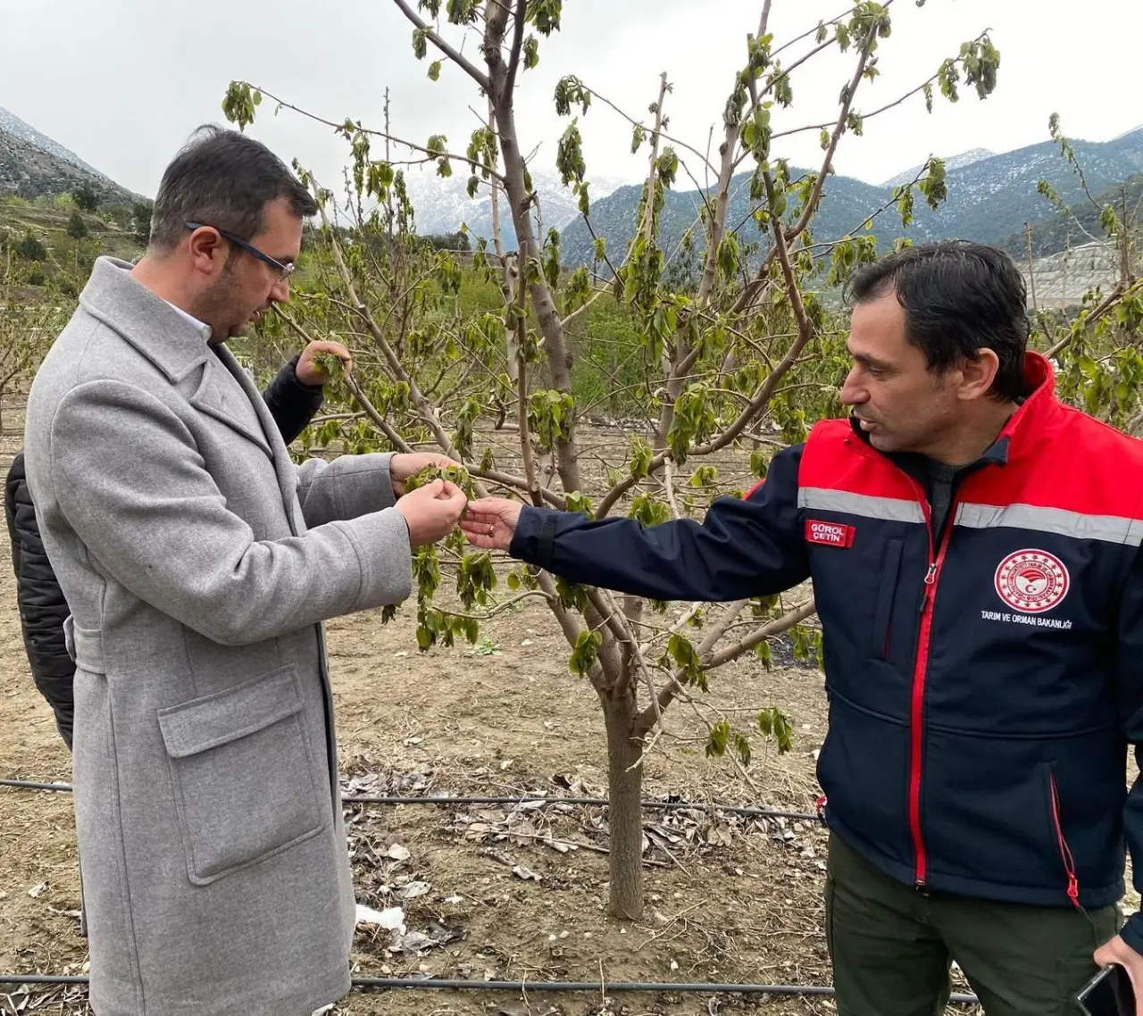 İl Başkanı Uzun’dan Zirai Don İncelemesi: “Son 30 Yılın En Sert Soğukları Yaşandı” 2