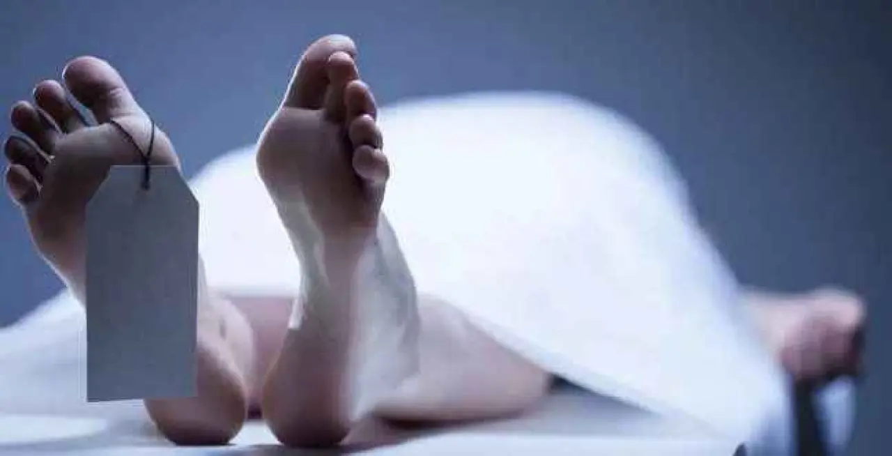 Sık Görülen Ama Yanlış Yorumlanan Rüyalar: Bu Rüyalar Sandığınızdan Farklı Anlamlar Taşıyor! 5
