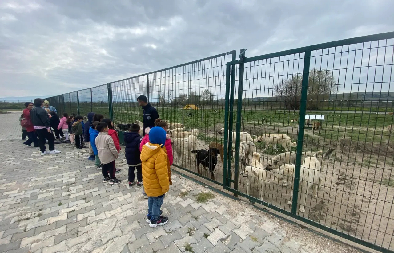 Minik Öğrencilerden Can Dostlara Sevgi Dolu Ziyaret 3