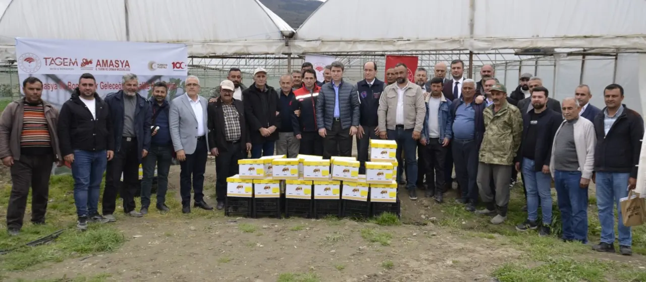 Amasya’da Bombus Arılarıyla Tarımsal Kalite Artıyor: Üreticilere Kovan Teslimi Gerçekleştirildi 4