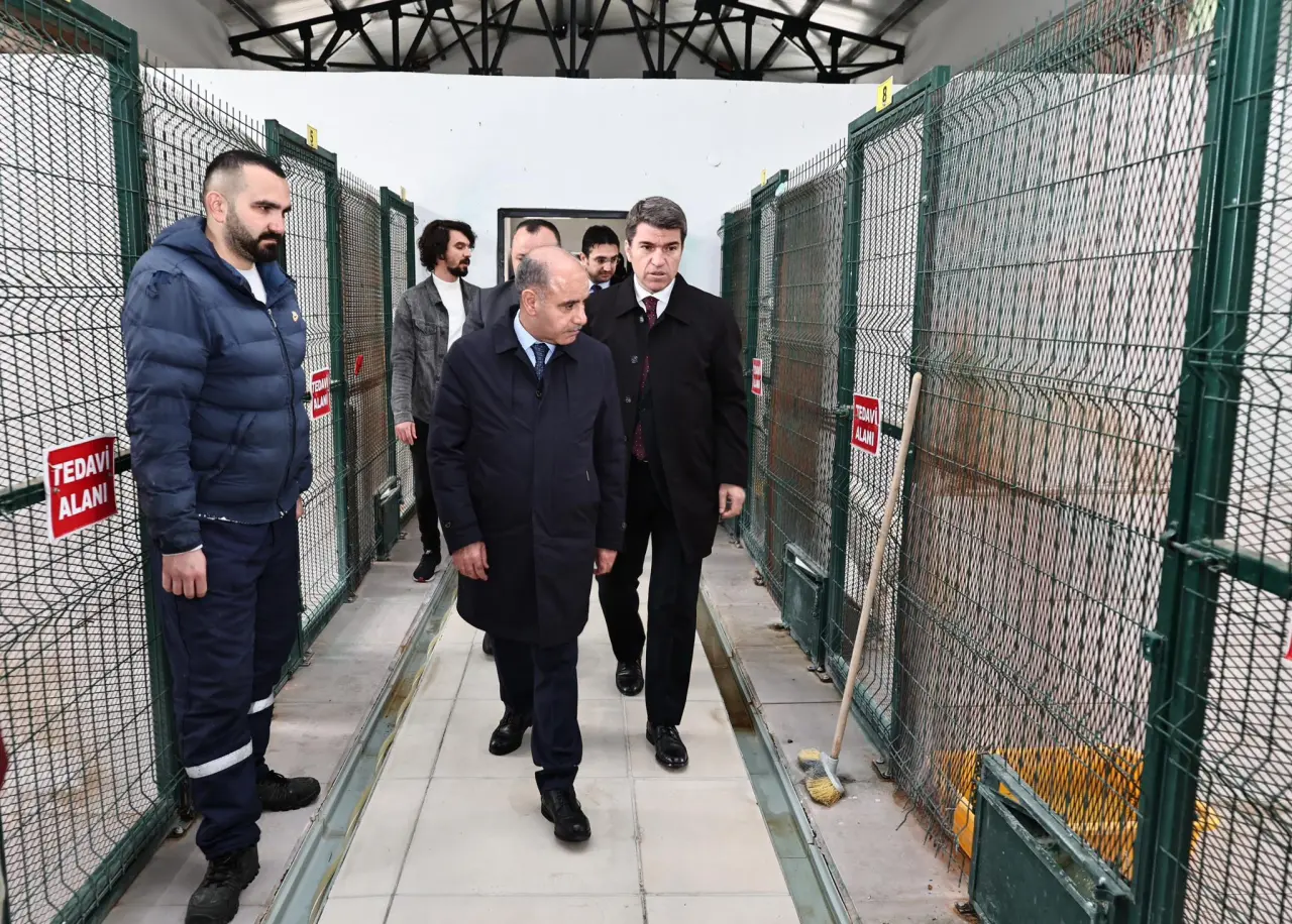 Aktaş Amasya'da Sahipsiz Hayvanlara Yönelik Projeleri İnceledi 1