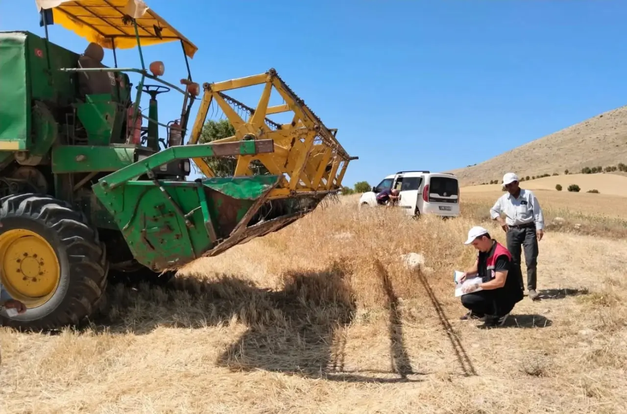 Amasya’da Biçerdöver Hasat Kontrolleri Titizlikle Sürdürülüyor 2