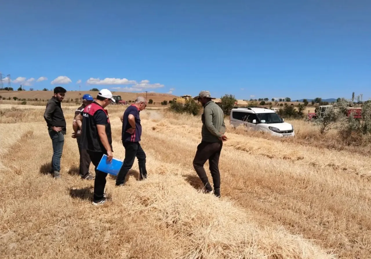 Amasya’da Biçerdöver Hasat Kontrolleri Titizlikle Sürdürülüyor 1