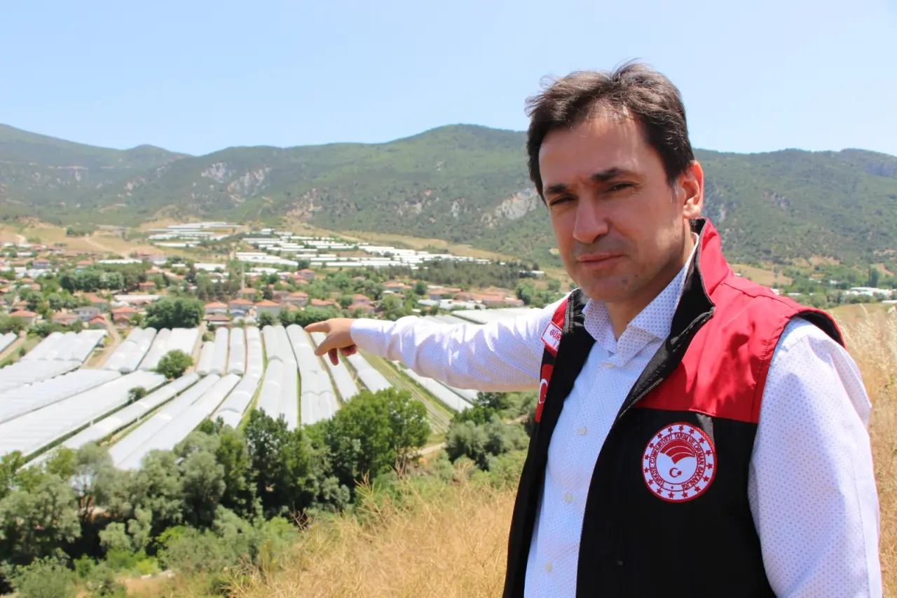 Amasya’da Domates Hasadı Başladı: 2025 Yılı Üretim Beklentisi 100 Bin Tonu Aşıyor 3
