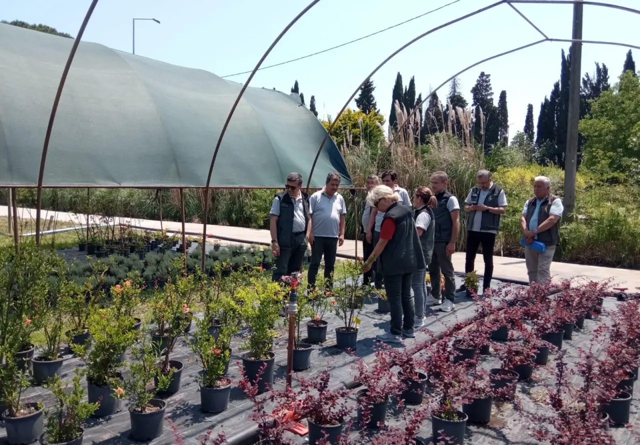 Fidanlık ve Tohum İşleri Heyetinden Amasya Orman Bölge Müdürlüğü’ne Teknik Ziyaret 4
