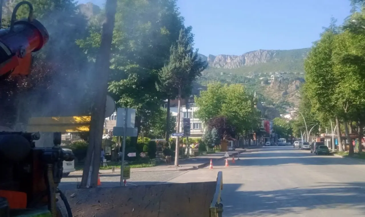 Amasya’da Yaz Temizliği: Hedef Sinek Yuvaları 2