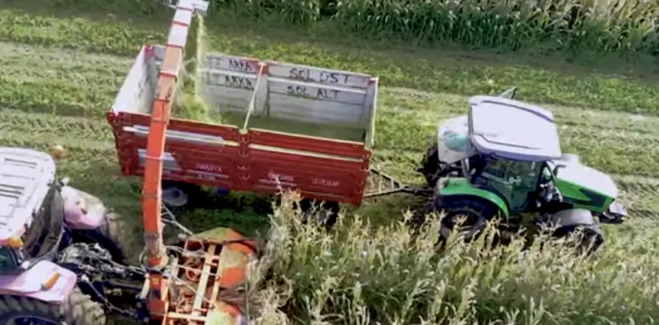 Amasya DSYB, Üreticilere Kaliteli Yem Temin Ediyor 4