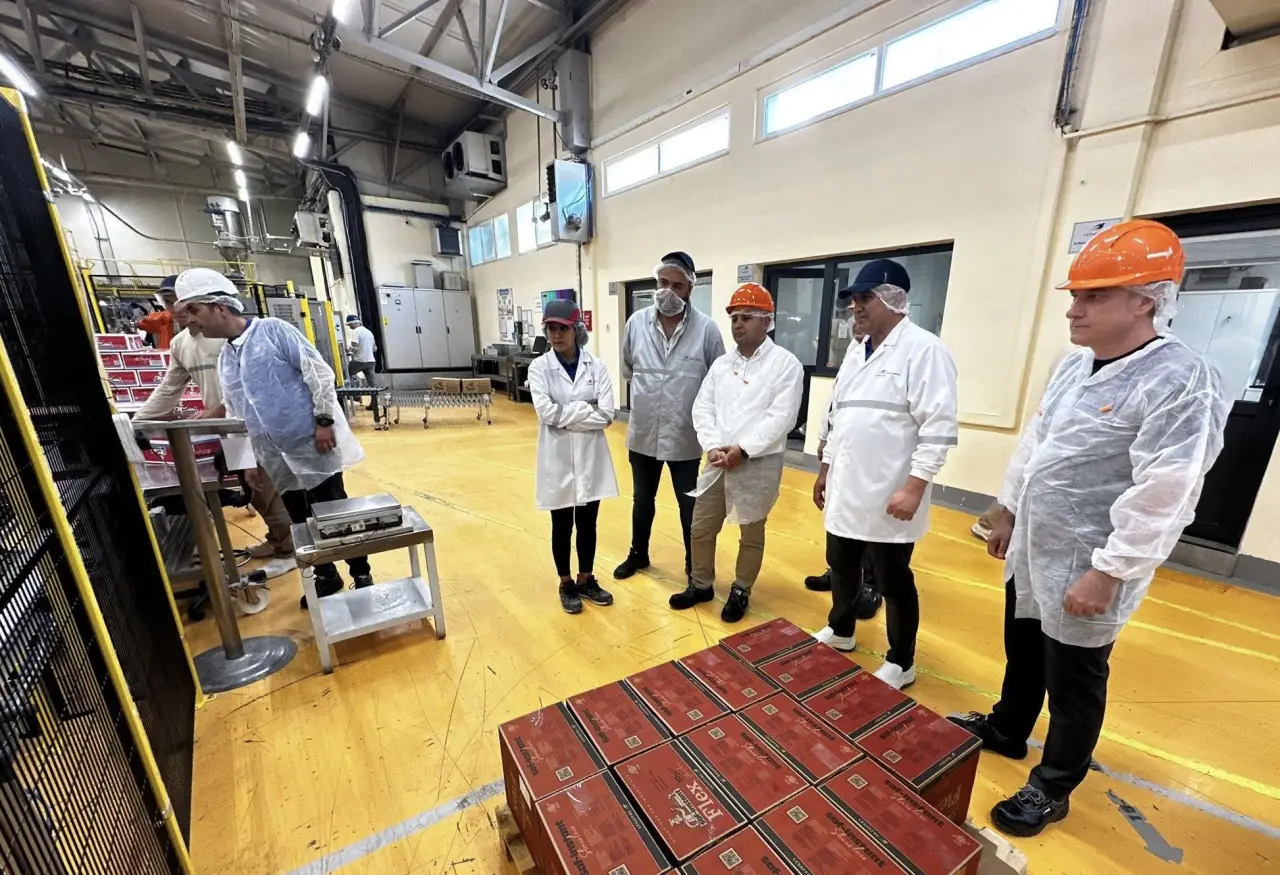 Amasya’ya Değer Katan Maya Fabrikası İstihdama Güç Veriyor 1