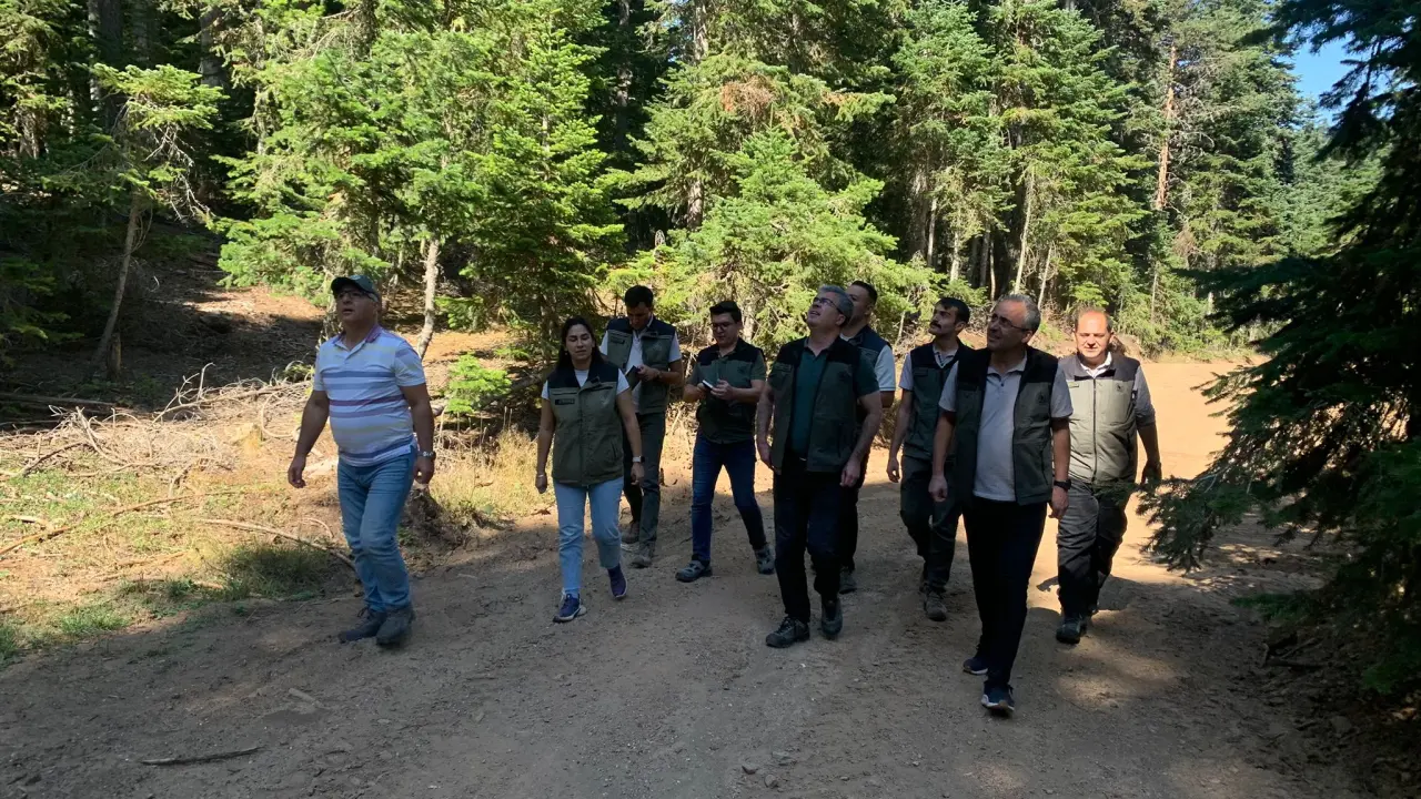 Amasya Orman Bölge Müdürü Ferdi Özer’den İskilip Ormanlarında Silvikültür Denetimi 1