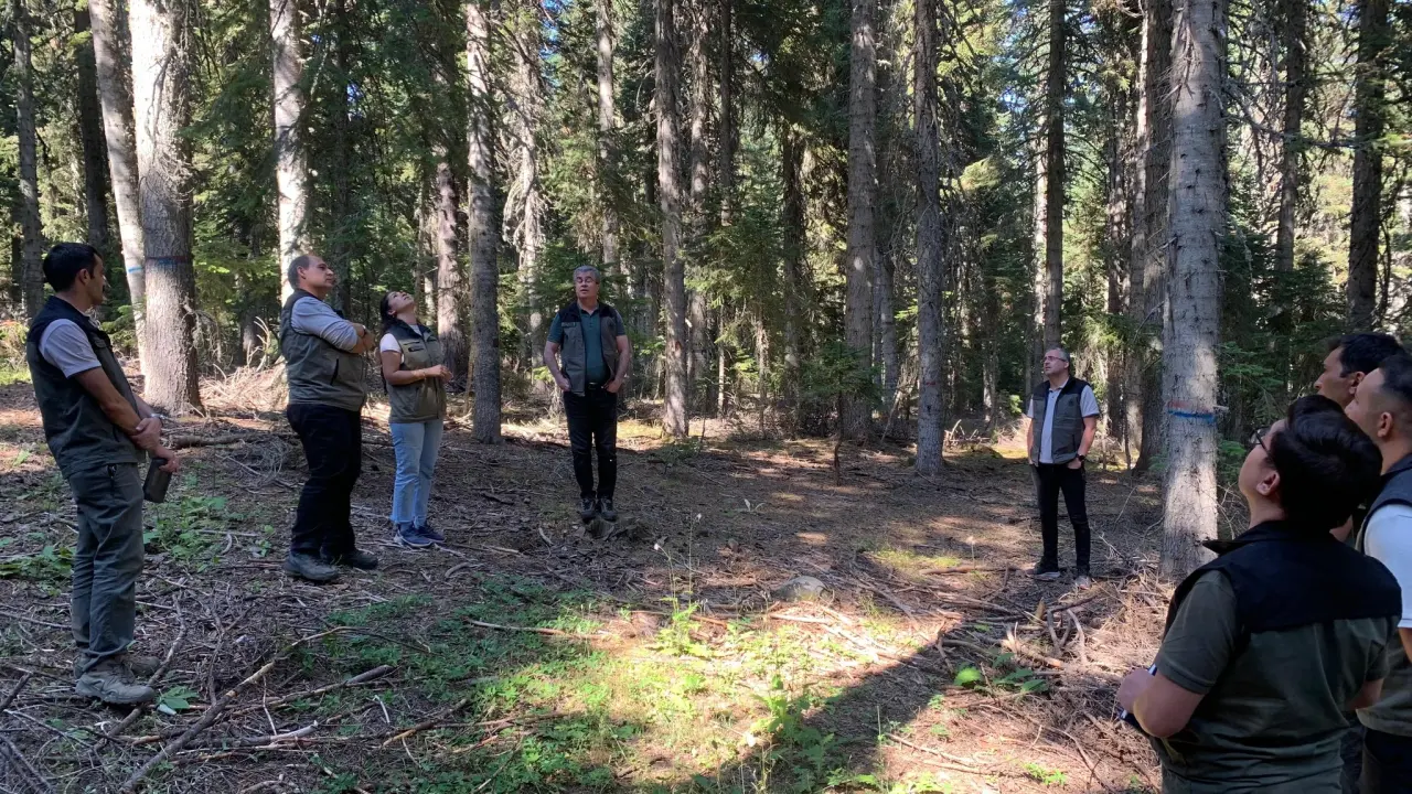 Amasya Orman Bölge Müdürü Ferdi Özer’den İskilip Ormanlarında Silvikültür Denetimi 2