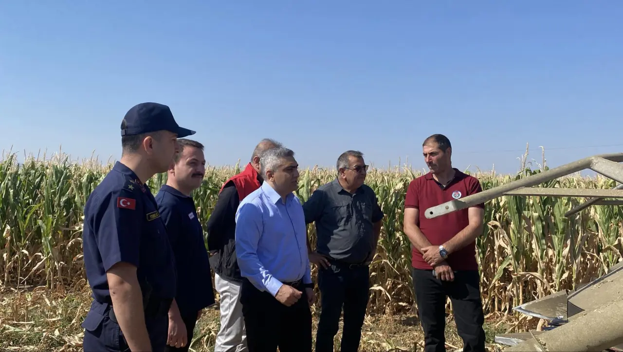 Sözleşmeli Mısır Hasadı Başladı 2