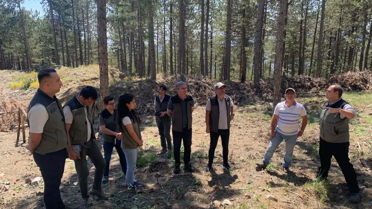 Amasya Orman Bölge Müdürü Ferdi Özer’den İskilip Ormanlarında Silvikültür Denetimi 4