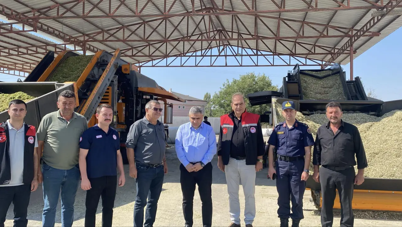 Sözleşmeli Mısır Hasadı Başladı 5