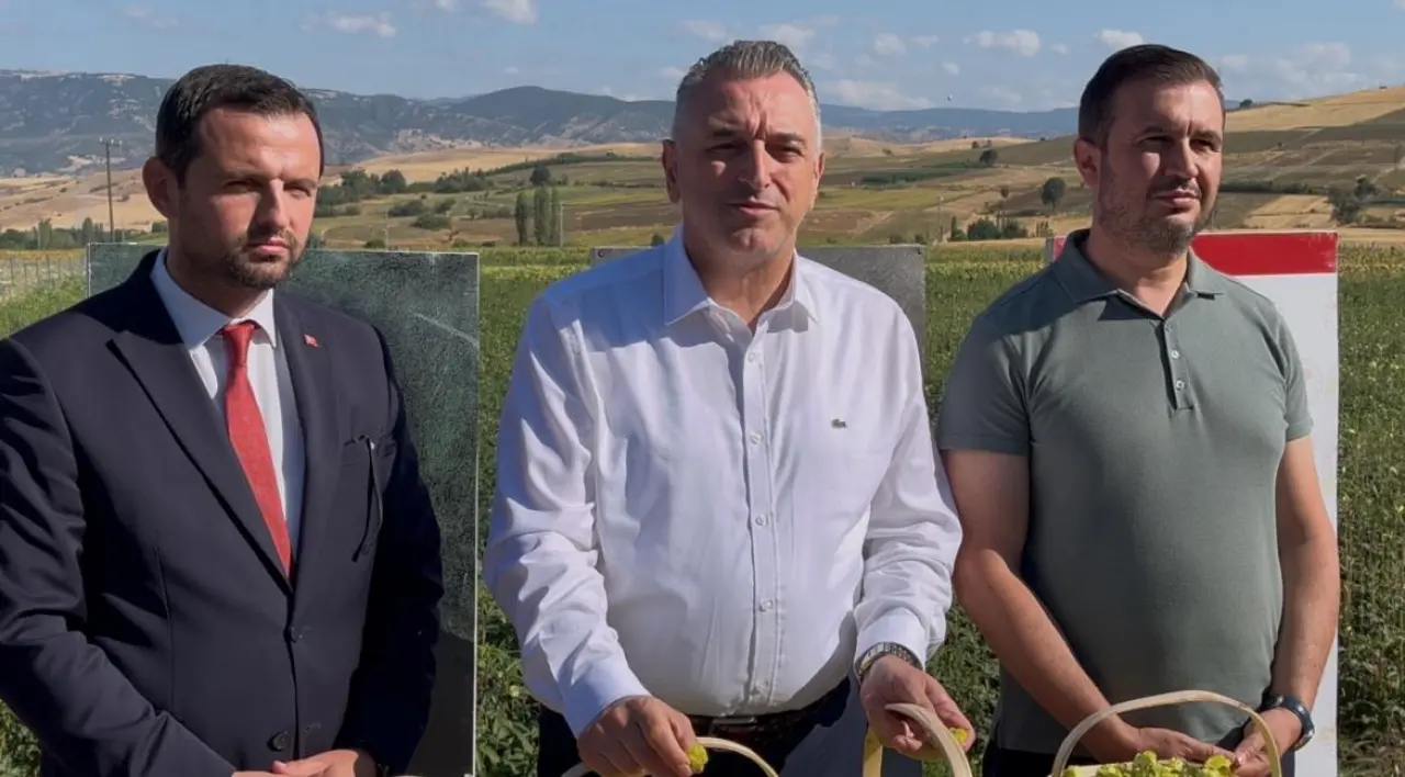 Taşova’da 4 Bin 600 Dekar Alanda Çiçek Bamyası Hasadı Gerçekleşti 3