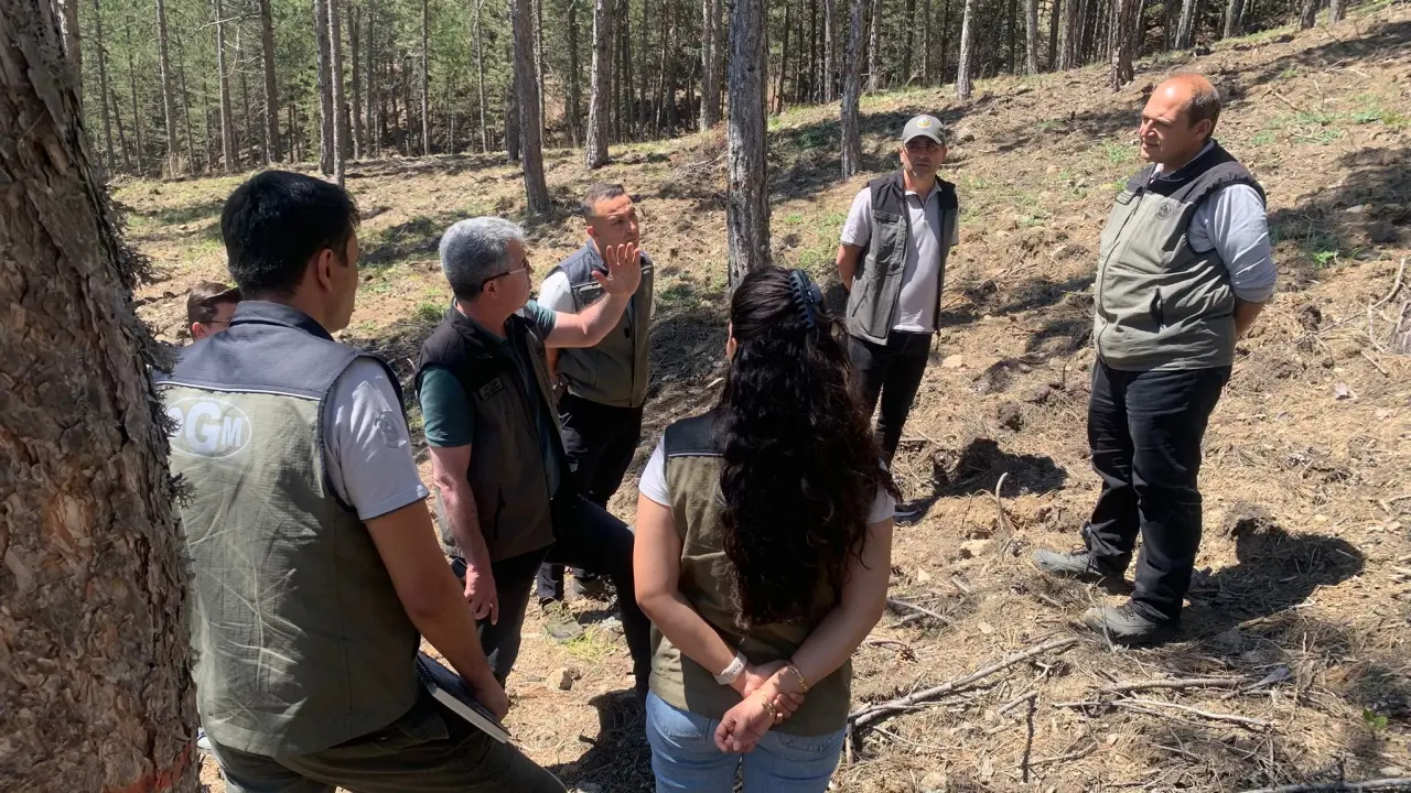 Amasya Orman Bölge Müdürü Ferdi Özer’den İskilip Ormanlarında Silvikültür Denetimi 3
