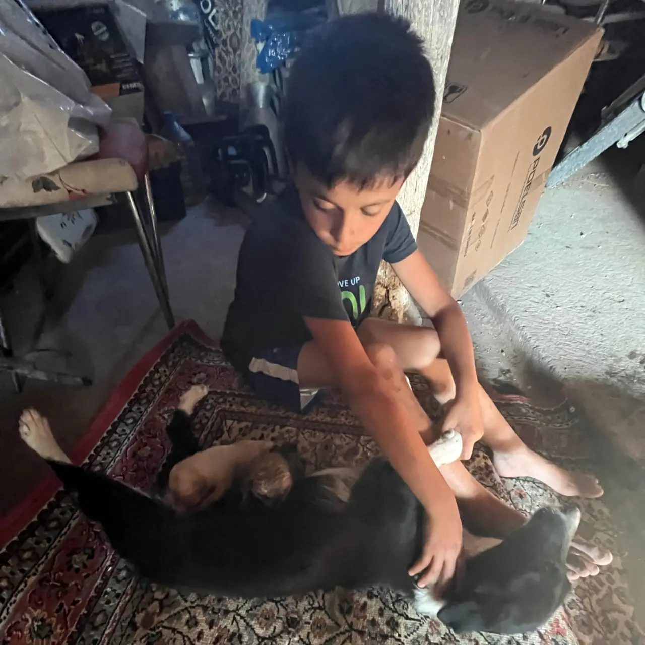 Merzifon’da Yürek Isıtan Kurtarma Operasyonu 3