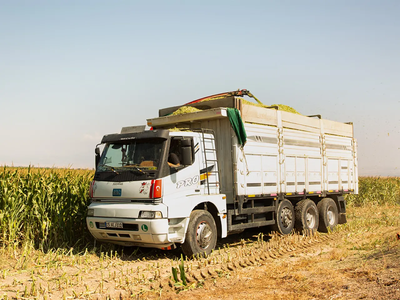 Amasya DSYB’den Üreticilere Mısır Silajı Biçme ve Paketleme Desteği 2