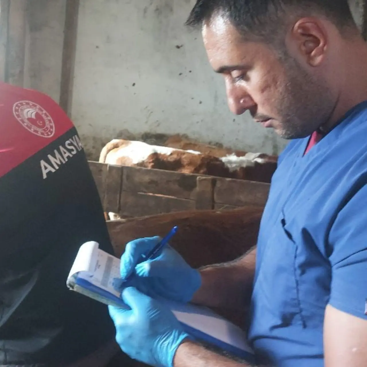 Amasya’da Tüberkülozla Mücadele Çalışmaları Titizlikle Sürdürülüyor 4