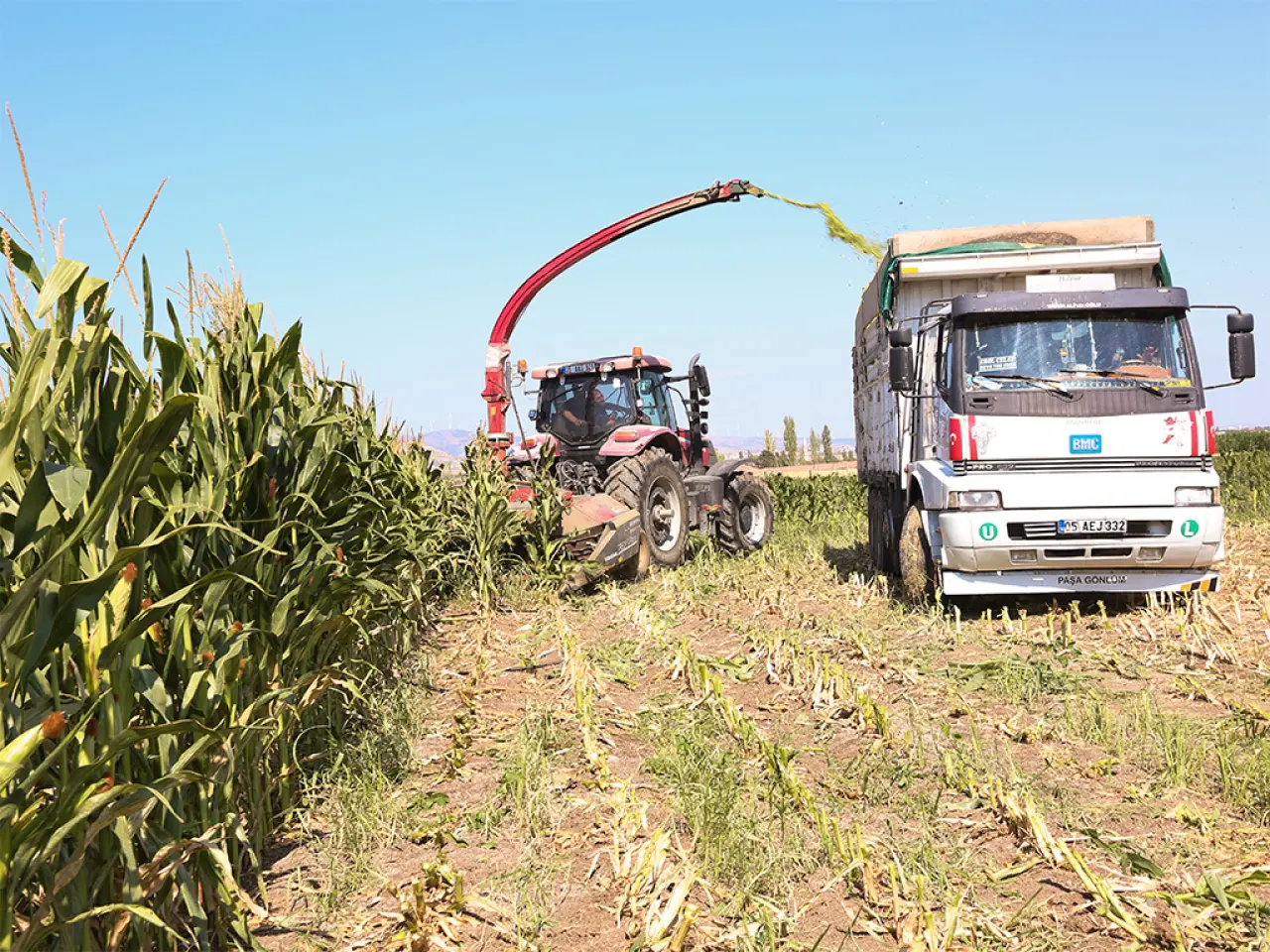 Amasya DSYB’den Üreticilere Mısır Silajı Biçme ve Paketleme Desteği 1