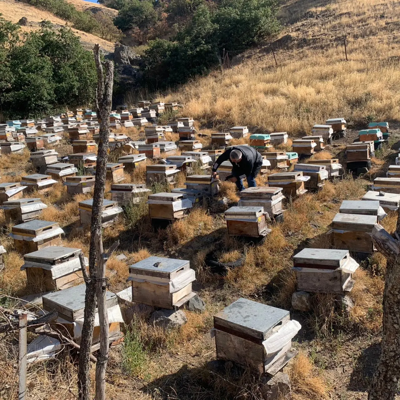Hırka ve Karamağra Köylerinde Arıcılara Destek Tespiti 3