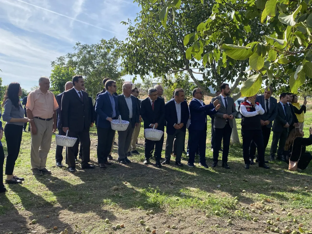 Merzifon’da Ceviz Hasadı: Vali Bakan Üreticilerle Bahçede 1