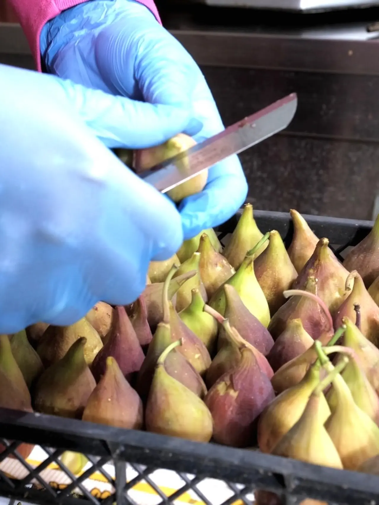 Amesia Gıda’dan Sözleşmeli Tarım 1