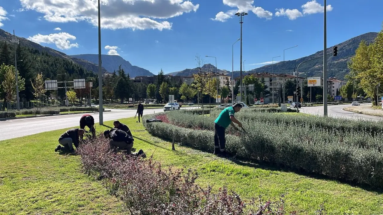 Amasya Belediyesi’nden Şehre Sonbahar Dokunuşu 2