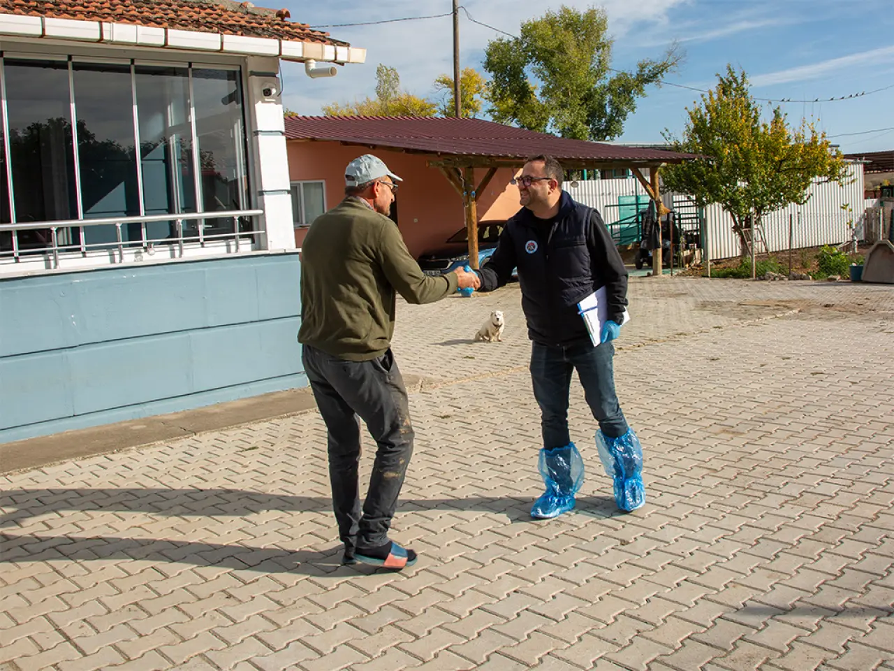 Amasya’da Hayvancılığa Can Veren Proje! 2