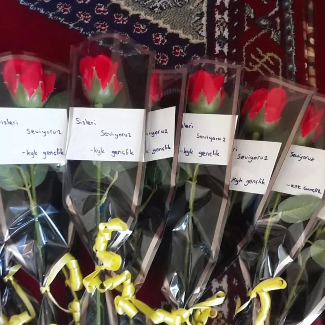 Gençlerden Huzurevin Ziyaret 1