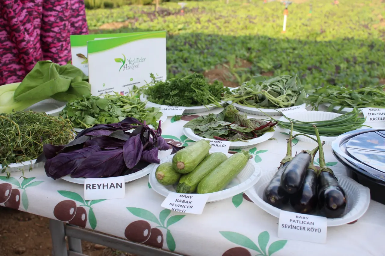 Yassıçal Köyü’nde Tıbbi Aromatik Bitkiler İncelendi 4