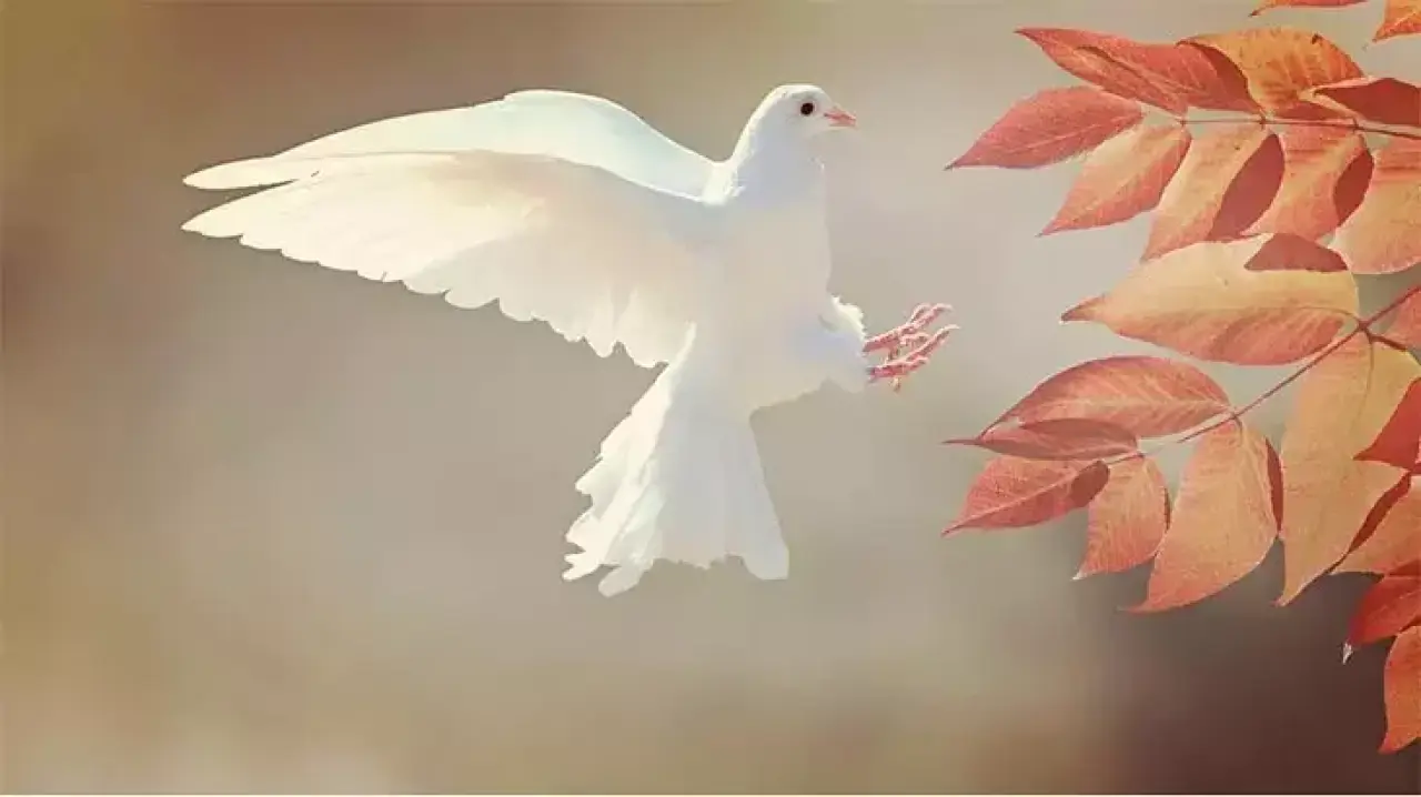 Rüyada Kuş Görmek Ne Anlama Gelir? İşte En Detaylı Yorum 1