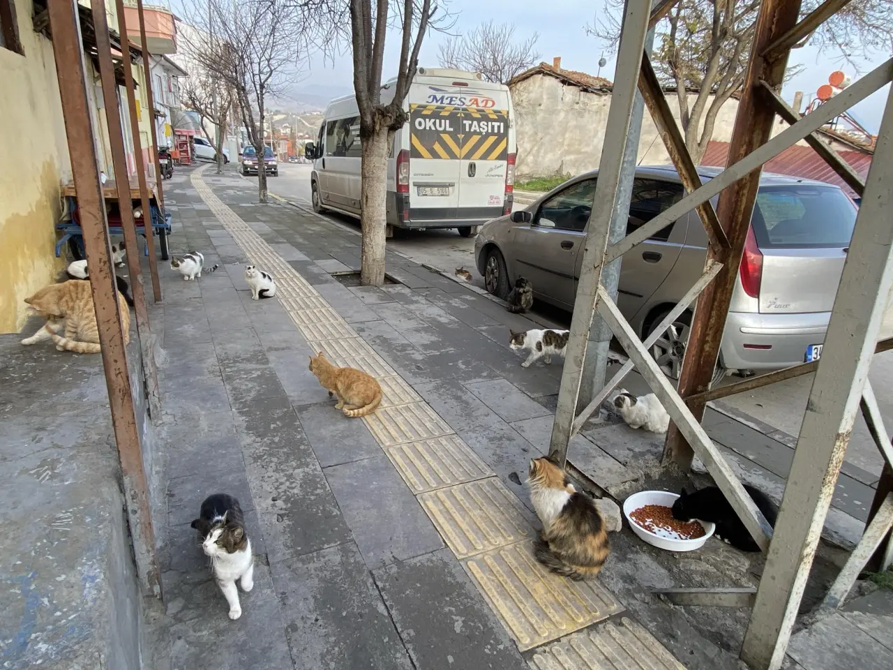 Merzifon’da Sessiz Kahraman! 1