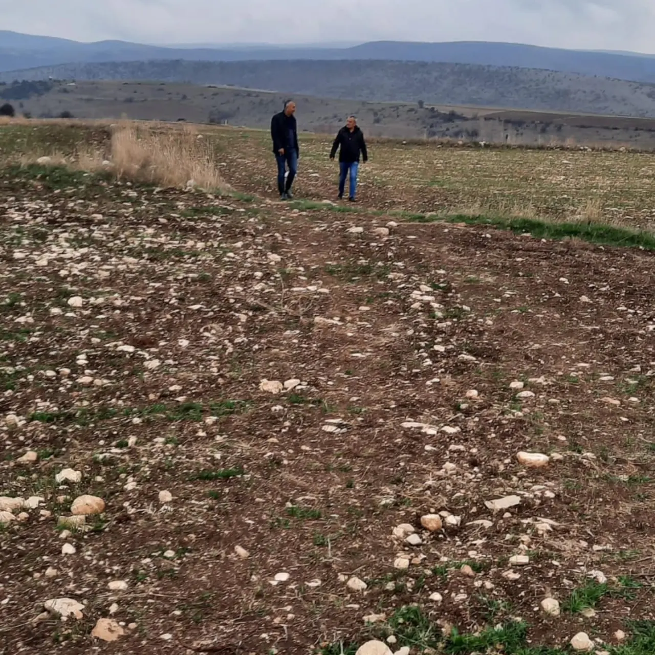 Merzifon’da Planlı Üretim İçin Çalışmalar Sürüyor 3