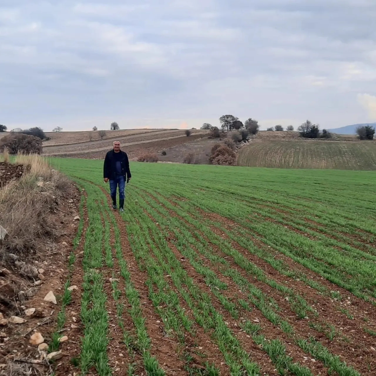 Merzifon’da Planlı Üretim İçin Çalışmalar Sürüyor 4