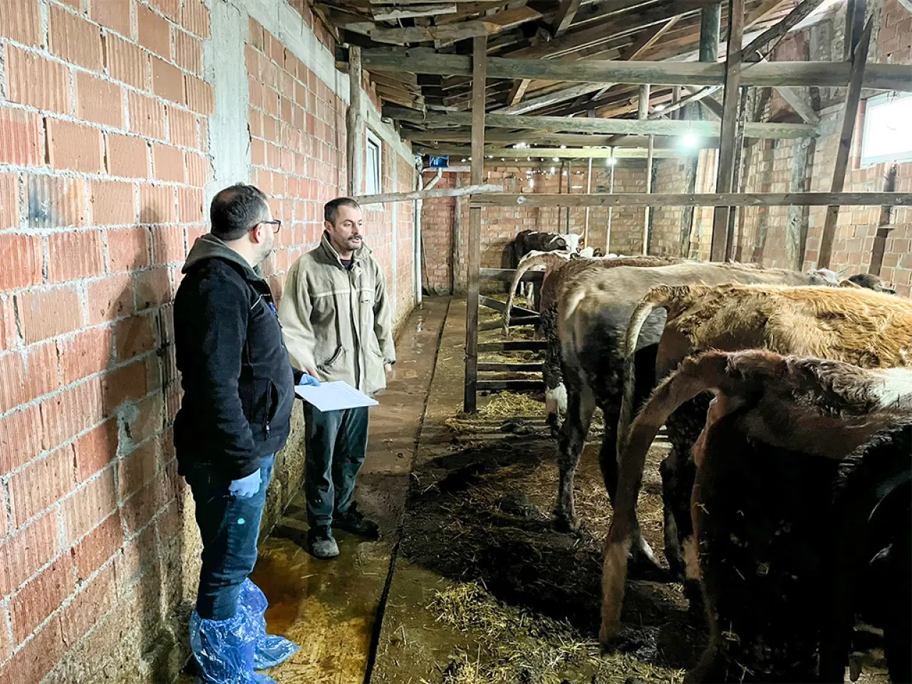 Köyümde Yaşamak İçin Bir Sürü Nedenim Var 2