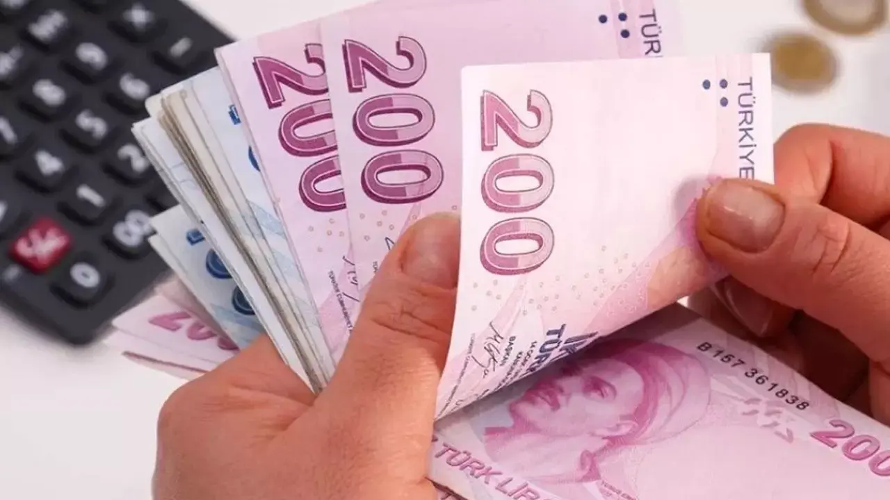 Vatandaşlık Maaşı” Geliyor 2
