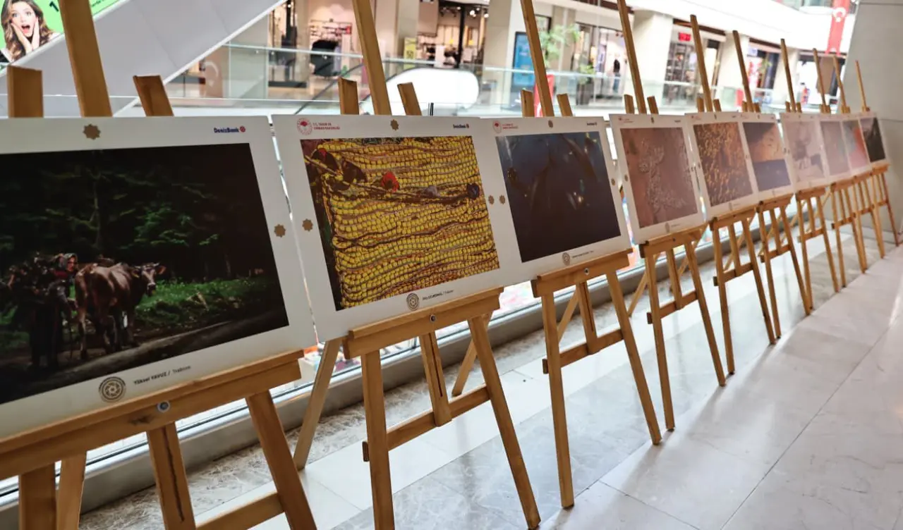 Amasya’da Sanat ve Doğa Buluştu! Sergiye Yoğun İlgi 3