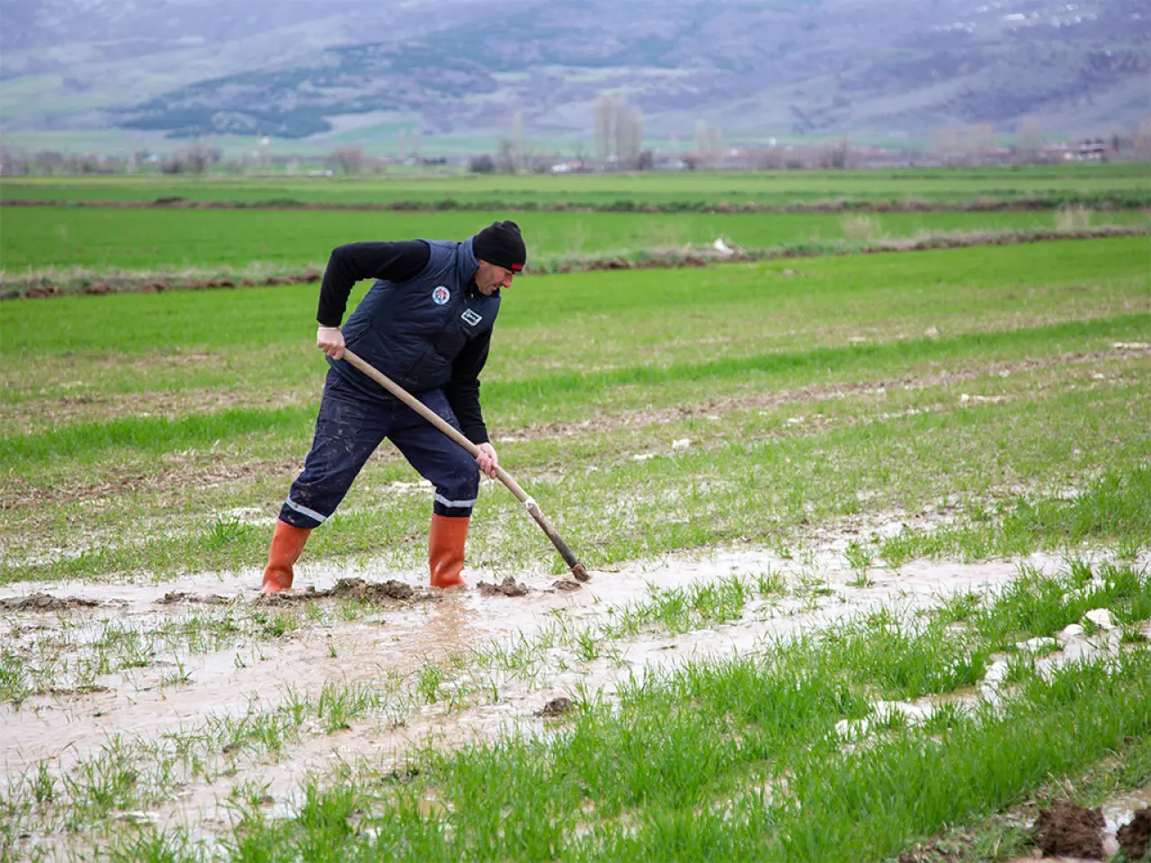 Merzifon’da 769 Dekarlık Tarım Hamlesi 1