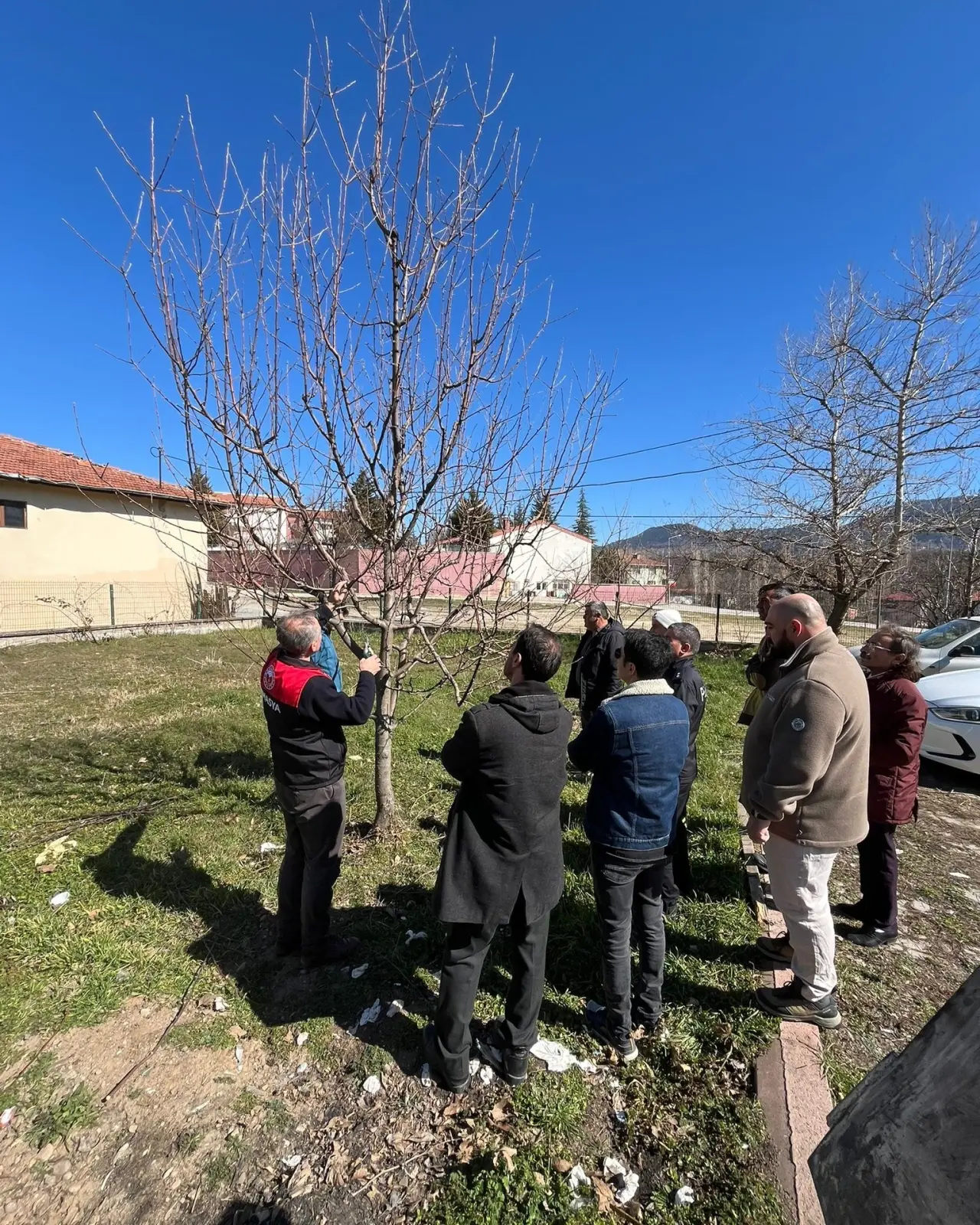 Hamamözü’nde Meyve Ağaçlarında Budama Kursu Başladı 3