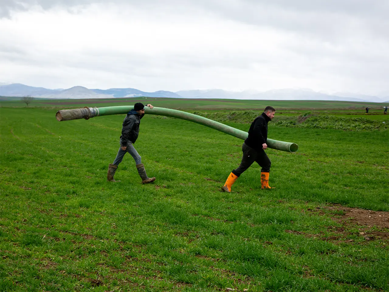 Merzifon’da 769 Dekarlık Tarım Hamlesi 3
