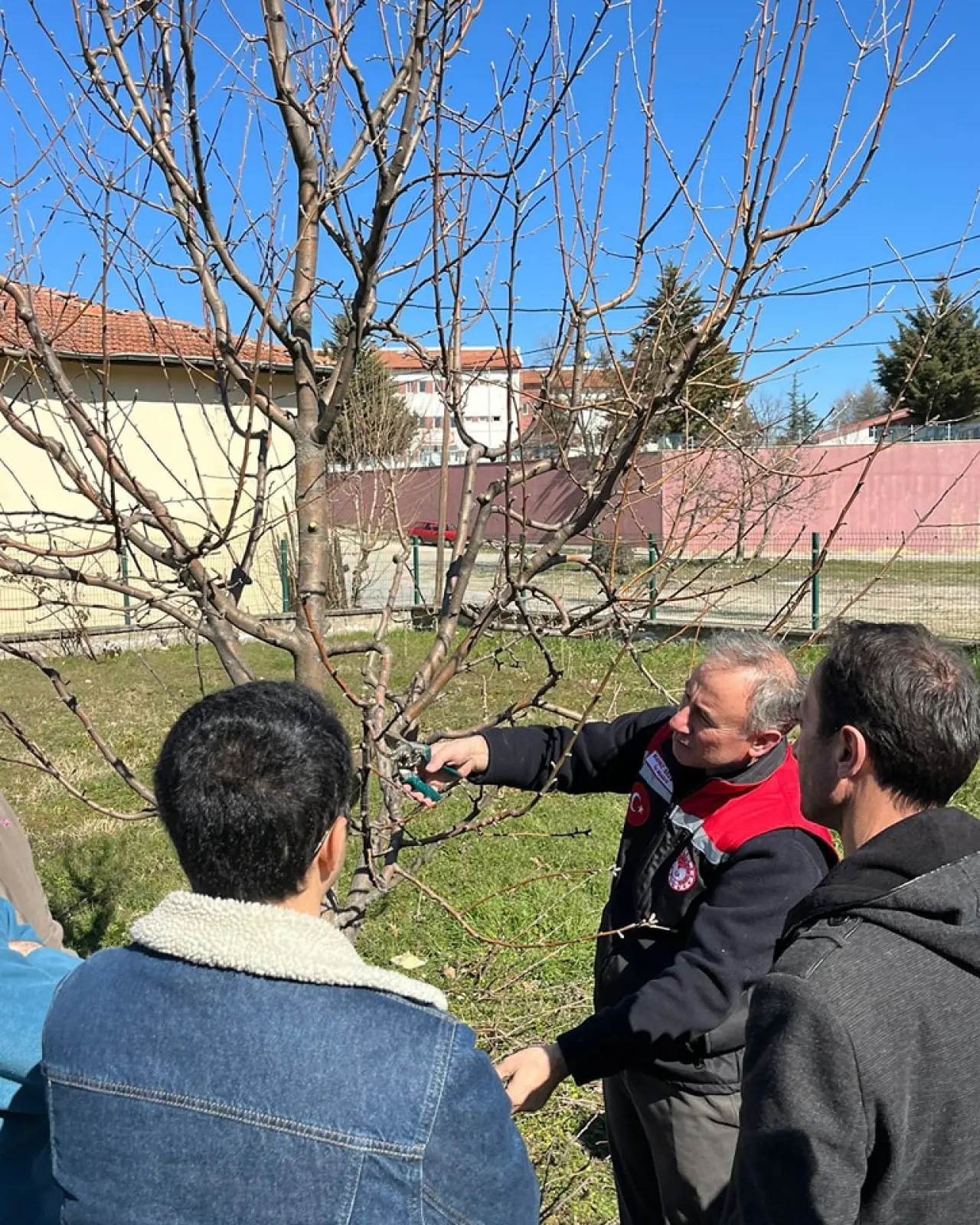 Hamamözü’nde Meyve Ağaçlarında Budama Kursu Başladı 1