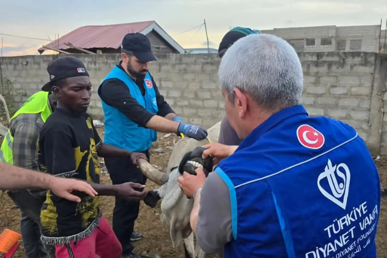 Amasya Müftülüğü Kurbanlık Seçimlerini Sürdürüyor 3