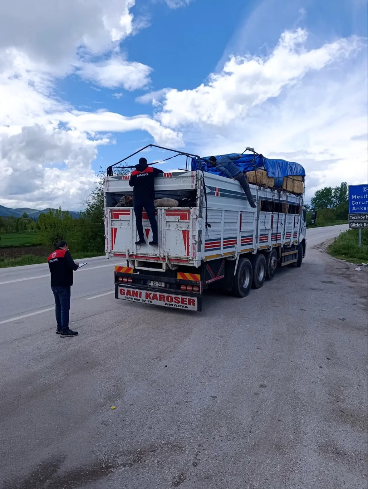 Amasya’da Kurbanlık Sevklerine Sıkı Denetim! 4