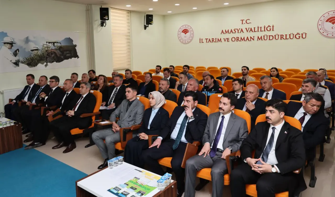 Amasya’da Sahipsiz Hayvanlar Masaya Yatırıldı 3