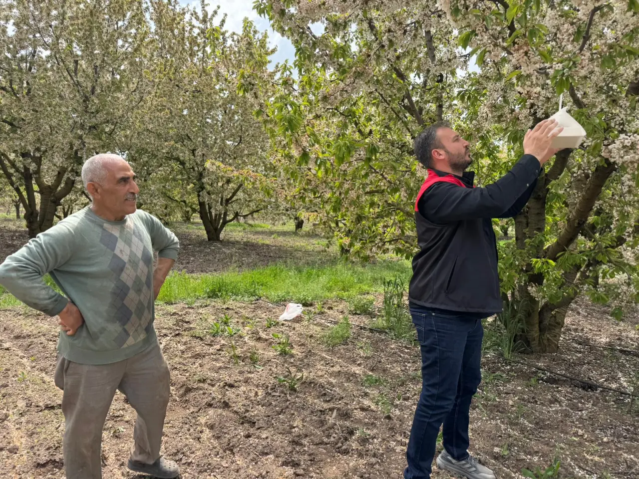 Amasya’da Üreticileri Koruyacak Hamle 2