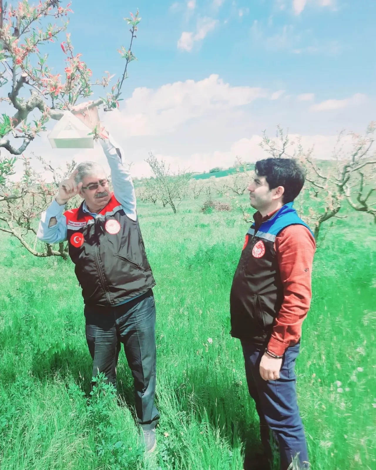 Amasya’da Ürün Kaybına Karşı Önlem 1