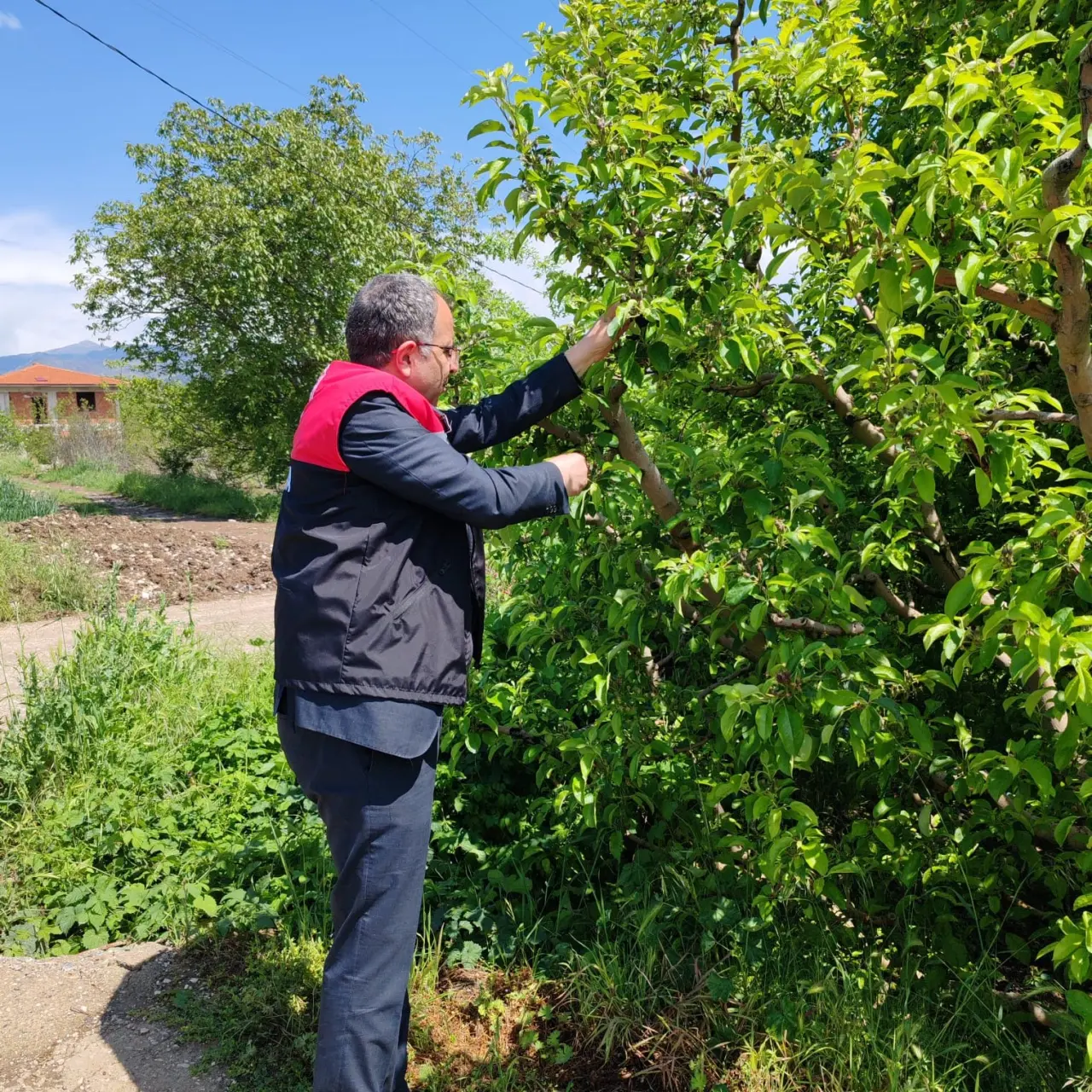 Amasya’da Yağış Sonrası Tarım Arazilerinde İnceleme Yapıldı 3